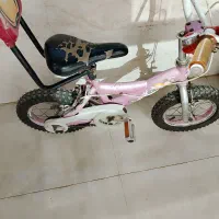 دوچرخه تایوانی 12