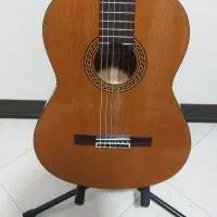 بهترین گیتار برای پیشرفت و حرفه ای شدن