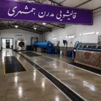 کارگر ماهر قالیشویی