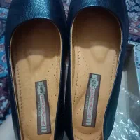 کفش|کیف، کفش، کمربند|سبزوار, مدرس|دیوار