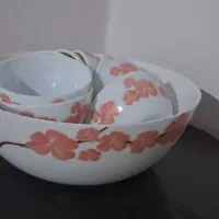 سرویس 18 نفره ارکوپال