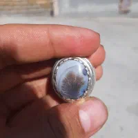 انگشتر شجر فوق کلکسیونی گرمی میفروشم