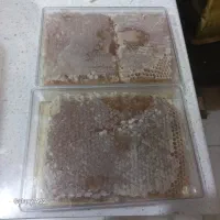 عسل کاملا طبیعی درمانی با عطر و طعم عالی تضمینی|خوردنی و آشامیدنی|تبریز, |دیوار