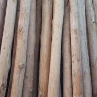 نردبان دسته بیل و پرچم و چوب آتشی چوب سفقی|عمدهفروشی|مشهد, خین عرب|دیوار