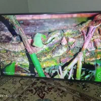 ال ای دی ۴۹اینچ هوریون در حد آکبند|تلویزیون و پروژکتور|گرگان, |دیوار