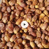 مضافتی بم و مردابسنگ و کلوته وزاهدی لوکس|خوردنی و آشامیدنی|مشهد, طبرسی شمالی|دیوار