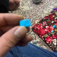 فیروزه  شجر پاک نیشابور