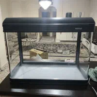 آکواریوم ماهیران