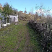 زمین ویلایی۲۲۵۰ متری باتپه اختصاصی واقع  شونانرود