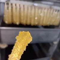 نبات چوبی