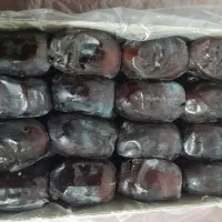 خرما مضافتی