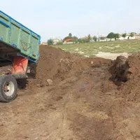 کود گوسفندی وگاوی|خدمات باغبانی و درختکاری|قائمشهر, |دیوار