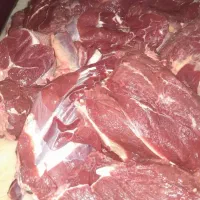 گوشت تلیسه