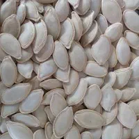 تخمه کدو بذری