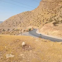 نیازمند چند عدد کمپرسی تک وجفت