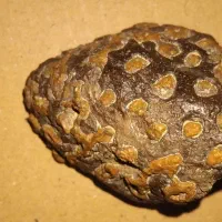 انواع گوهرسنگ خام تراش نخورده .فسیل .مشکوک به شهاب