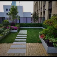 گلدان همیشه سبز