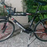 دوچزخه ۲۶ . قیمت ۶/۵