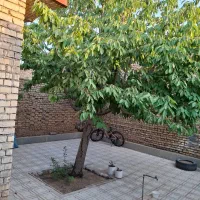 ۲۲۰متر زمین / درب از حیاط /خیابان فرصت شیرازی