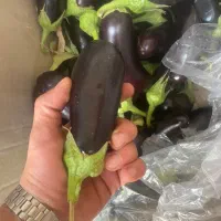 بادمجان پوست گرفته شده|خوردنی و آشامیدنی|تهران, اتابک|دیوار