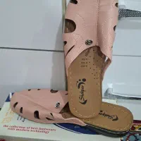 کفش|کیف، کفش، کمربند|قم, ولیعصر|دیوار