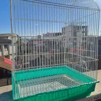 قفس|لوازم جانبی حیوانات|رشت, تازه آباد|دیوار