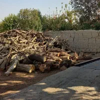 هیزم خشک شومینه ای|عمده‌فروشی|شهریار, شهریار|دیوار