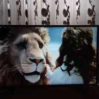 تلویزیون ال جی ال ای دی.آینه وکنسول .جا کفشی.جاروب