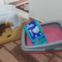 خونه سگ و گربه با زیرانداز و جای غذا