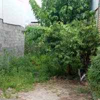 فروش زمین ۶۰ متری در جماران