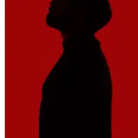 یک عدد بلیط کنسرت ارمان گرشاسبی