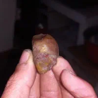 سنگ های اصل اصل شجر واسه انگشتر و مدا پلاک|کلکسیون اشیاء عتیقه|خواجه, |دیوار