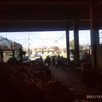 فروش غرفه به متراژ ۷۵ متر|فروش مغازه و غرفه|شیراز, وزیرآباد|دیوار