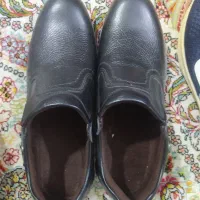 کفش مردانه|کیف، کفش، کمربند|گلبهار, شهر جدید گلبهار|دیوار