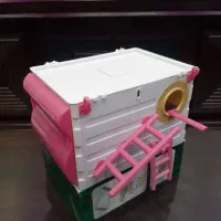 لونه عروس هلندی