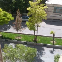 واحد-شیک-100-متری-بر-بلوار-محمدی
