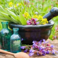 کسب وکار حرفه ای آنلاین در منزل برای بانوان