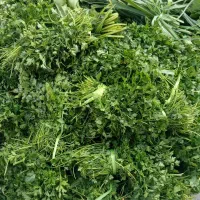 سبزیجات و عرقیجات سرای سبز