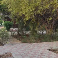 استخدام نیروی خانم