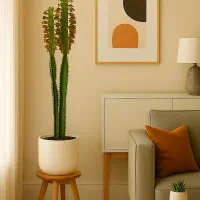 گل افوربیا تریگونا قرمز ۱۰۰ سانت ارسال رایگان+هدیه