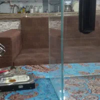 آکواریم ماهی درجه 1 ( شرکتی )|ماهی|رشت, حومه رشت|دیوار