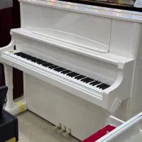 پیانو آکوستیک سمیک سری W آکبند ۲۰۲۴|پیانو، کیبورد، آکاردئون|تهران, تجریش|دیوار