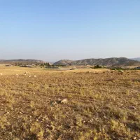 زمین با کاربری کشاورزی