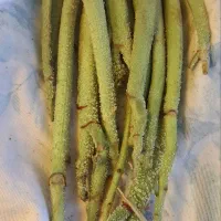 ریواس کوهی طبیعی