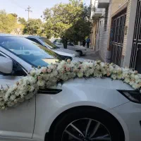 گلارایی ماشین عروس مصنوعی و طبیعی