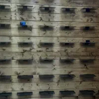 رگال سفارشی|فروشگاه و مغازه|کرج, محمد آباد|دیوار