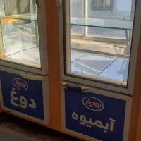 یخچال مغازه