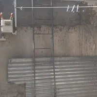 نردبان و ایرانت