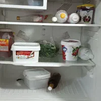 یخچال اسنوا سالم فریزر کاملا سالم|یخچال و فریزر|کلاله, |دیوار