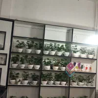 قفسه وسایل مغازه
